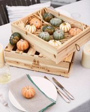 Crate of mini pumpkins on table