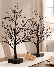 Black twig trees and white pumpkins on table