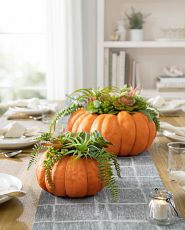 Artificial pumpkins with succulents